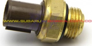 Pera termoswich Honda CRV 2000