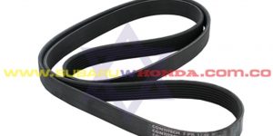 Correa única serpentina Honda CRV 2005