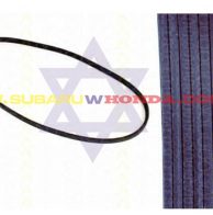 Correa del alternador Subaru Automovil Coupe 1981