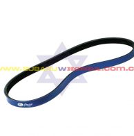 Correa del alternador Honda Integra 1993