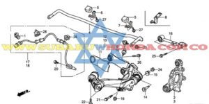 Buje tijera trasera derecha Honda CRV 2012