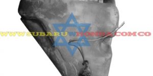 Tarro auxiliar agua trasero Subaru Leone 1993