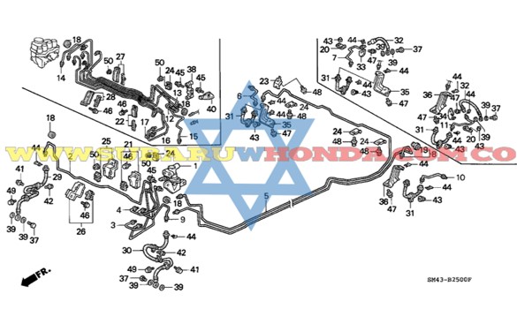 Manguera izquierda frenos Accord 1991