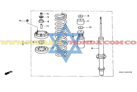 Espiral delantero Accord 2001