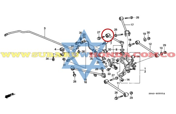 Buje rotula trasero Accord 2004