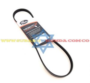 Correa alternador Accord 1983