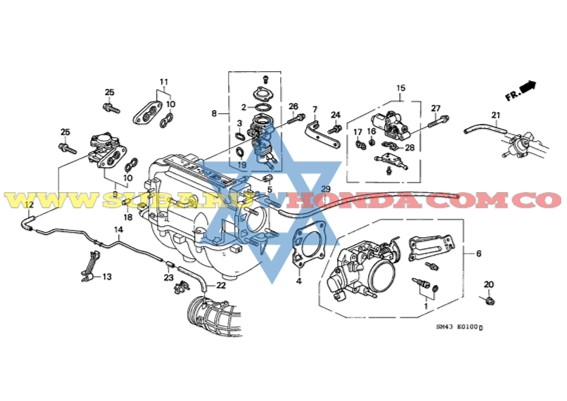Válvulas admisión Accord 1990