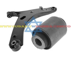 Buje tijera Tribeca 2008