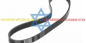 Correa alternador Accord 1997