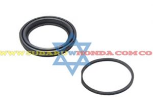 Liga y guardapolvo morzada Tribeca 2007