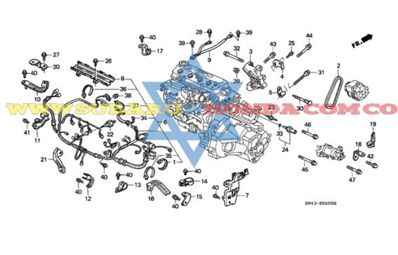 Pera temperatura Accord 1992