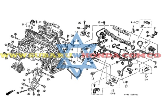 Pera temperatura Accord 1996