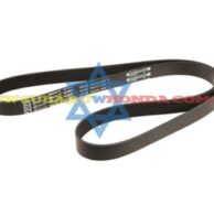 Correa serpentina Civic 2019