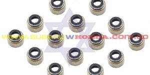 Cauchos válvulas Honda CRV 2012