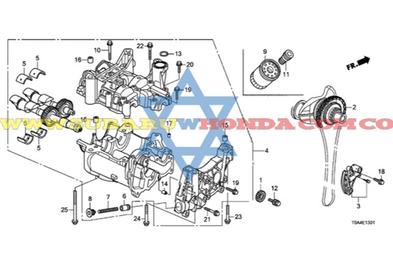 Cadena bomba de aceite Honda CRV 2016