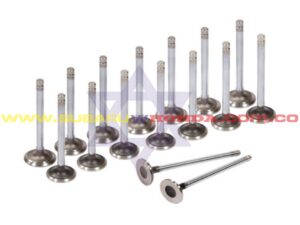 Válvulas admisión Honda CRV 2021