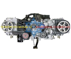 Siete Octavos Forester 2003 Siete Octavos Forester 2003