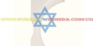 Tarro auxiliar agua Forester 2007