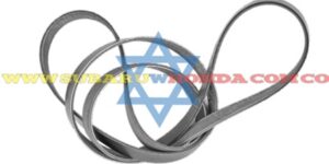 Correa de repartición Forester 2013