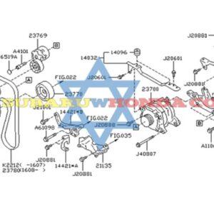 Correa unica serpentina Forester 2016