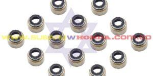 Cauchos válvulas Forester 2020