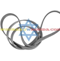 Correa unica serpentina Forester 2021