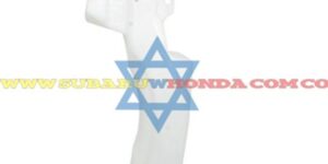 Tarro auxiliar agua Forester 2020