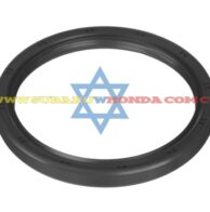 Retén volante Tribeca 2009