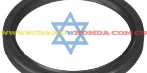 Retén volante Tribeca 2009