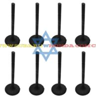 Empaque múltiple admisión Tribeca 2011