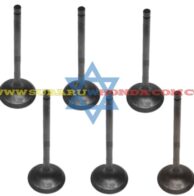 Empaque múltiple escape Tribeca 2011